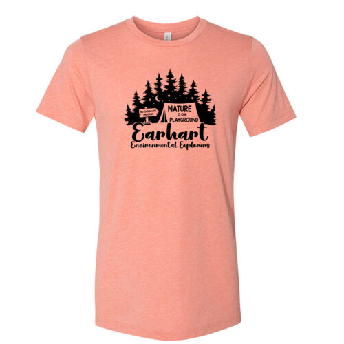 D1 - Bella 3413 Adult Unisex Triblend Tee Thumbnail