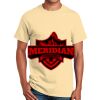 Ultra Cotton™ 100% Cotton T Shirt Thumbnail