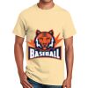 Ultra Cotton™ 100% Cotton T Shirt Thumbnail