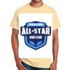 Ultra Cotton™ 100% Cotton T Shirt Thumbnail