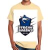 Ultra Cotton™ 100% Cotton T Shirt Thumbnail
