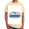 Ultra Cotton™ 100% Cotton T Shirt Thumbnail