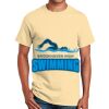 Ultra Cotton™ 100% Cotton T Shirt Thumbnail