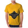 Adult Gildan 50/50 DryBlendTM T-Shirt Thumbnail